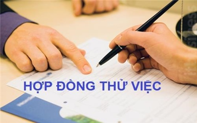 NLĐ ký hợp đồng thử việc không bắt buộc tham gia BHXH